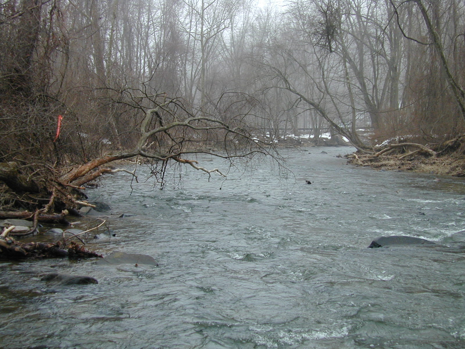Field photo showing stream conditions at site LIGU-307-R-2003-672