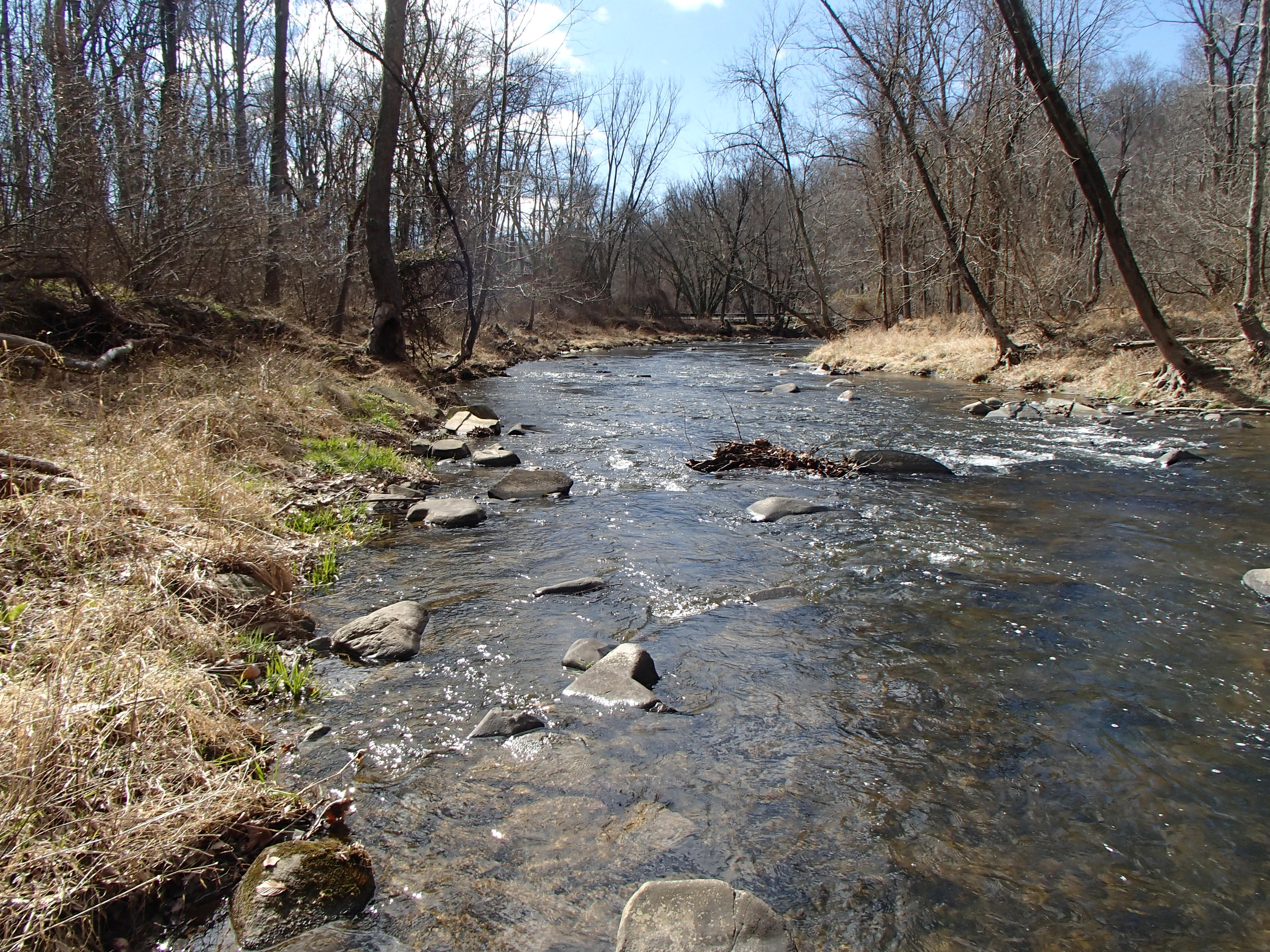 Field photo showing stream conditions at site LIGU-307-R-2017-MidpointFacingDownstream