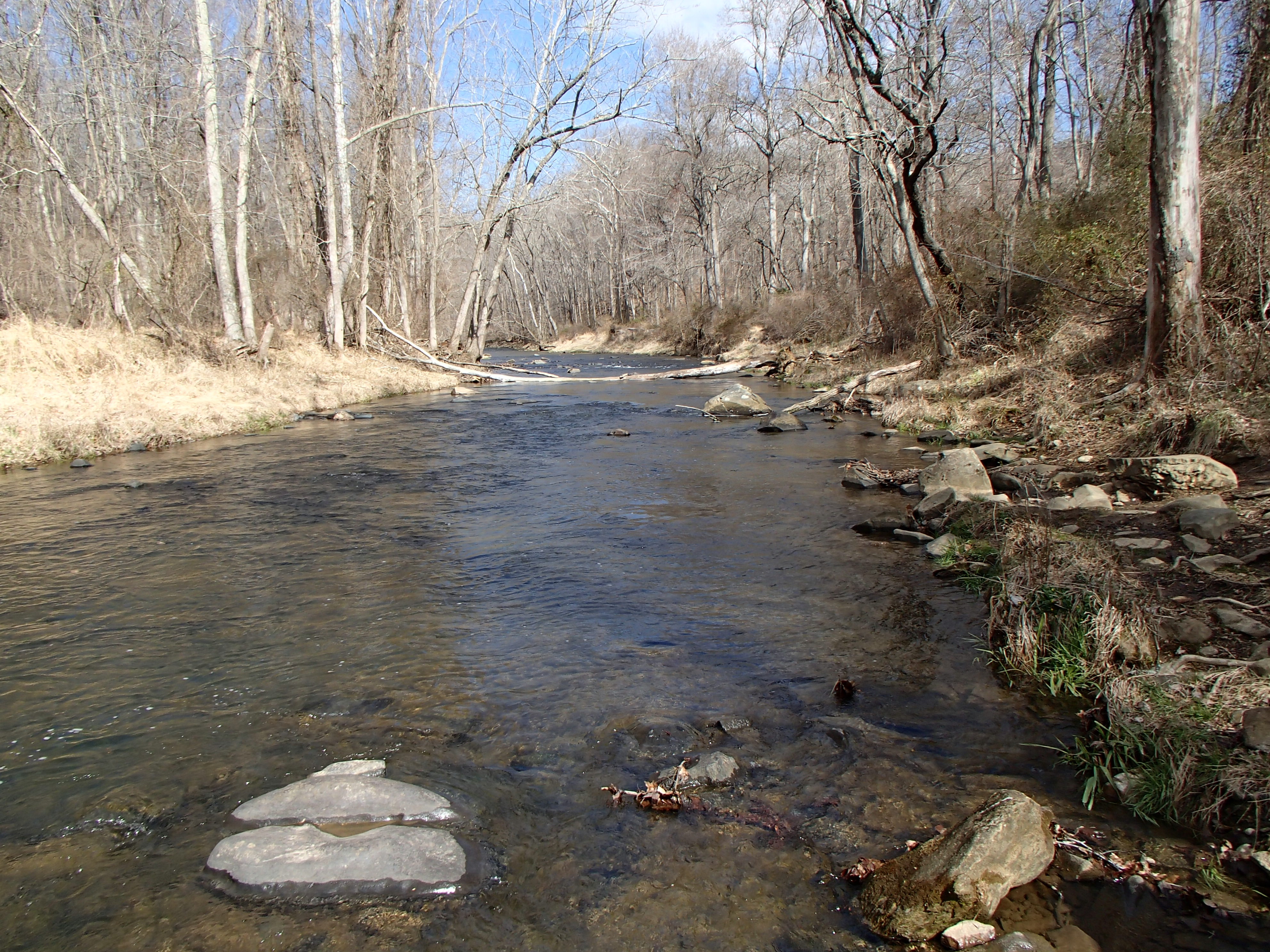 Field photo showing stream conditions at site LIGU-307-R-2017-MidpointFacingUpstream