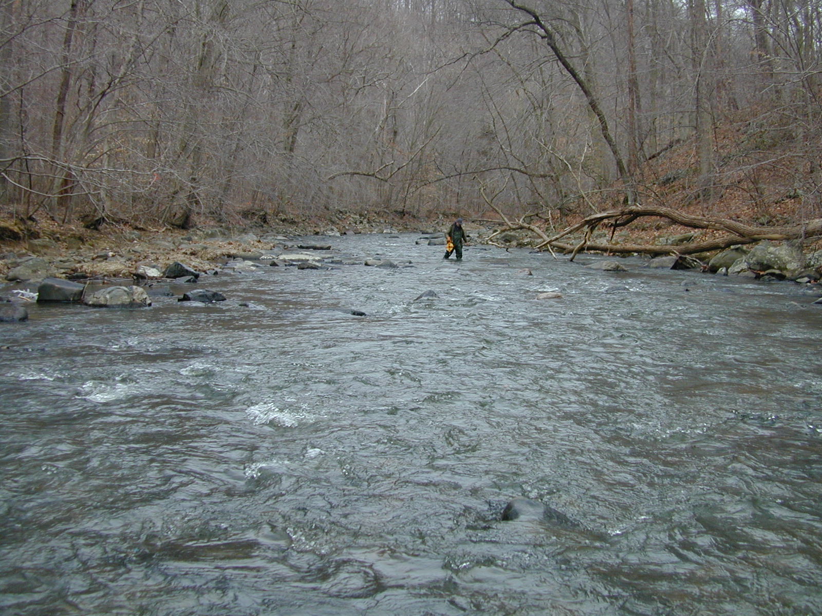 Field photo showing stream conditions at site LIGU-312-R-2001-1
