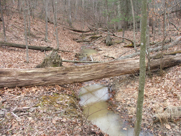 Field photo showing stream conditions at site LIKG-102-B-2008-2