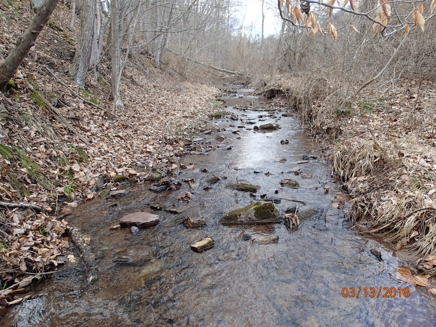 Field photo showing stream conditions at site LIKG-107-R-2018_MidpointUpstream