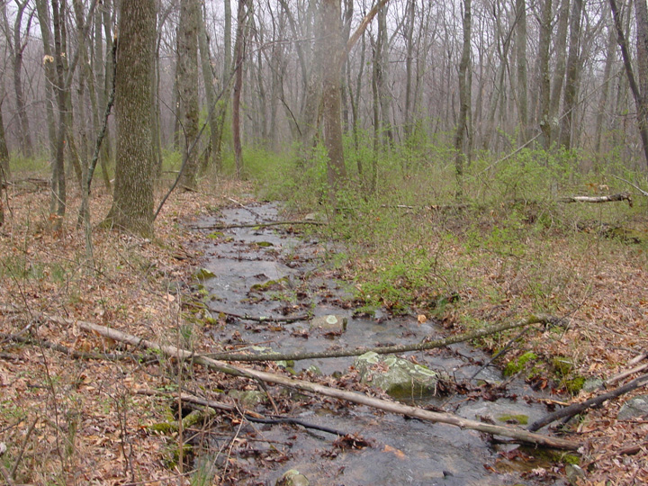 Field photo showing stream conditions at site LIKG-110-R-2007-1