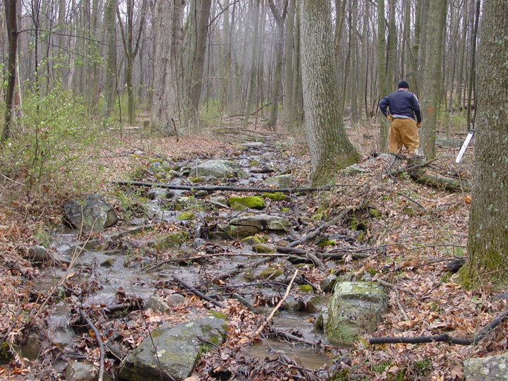 Field photo showing stream conditions at site LIKG-110-R-2007-2