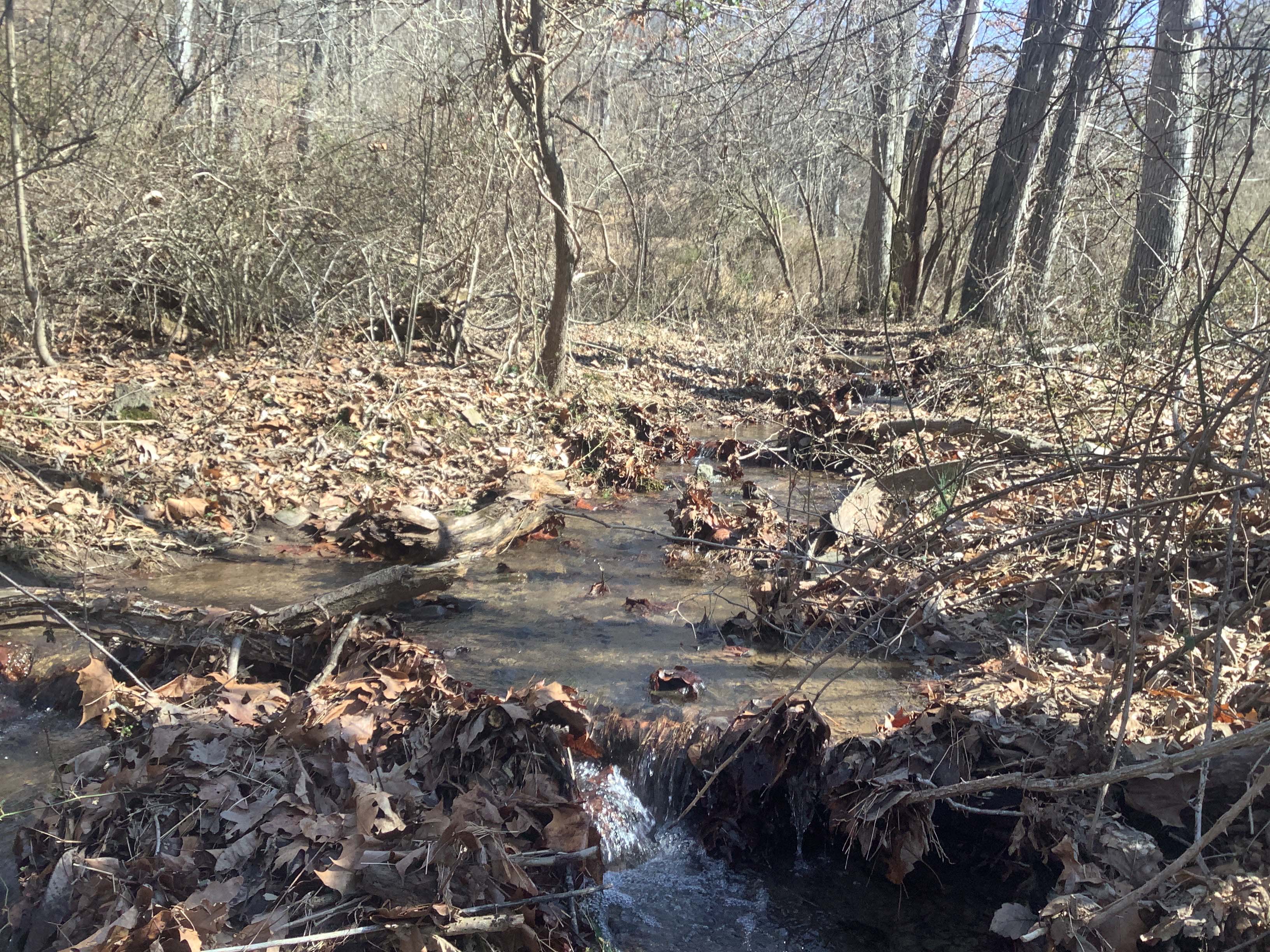 Field photo showing stream conditions at site LIKG-122-R-2023_Midpoint_facing_upstream