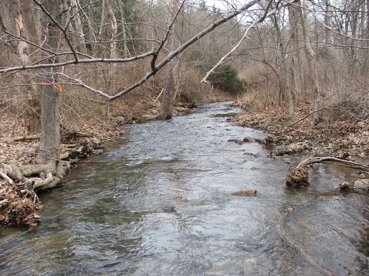 Field photo showing stream conditions at site LIKG-201-B-2008-1