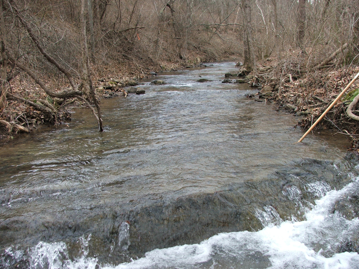 Field photo showing stream conditions at site LIKG-201-B-2008-2