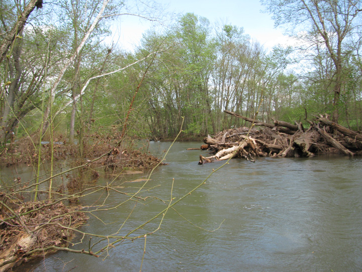 Field photo showing stream conditions at site LIKG-504-H-2011-1
