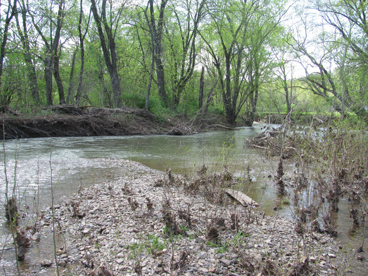 Field photo showing stream conditions at site LIKG-504-H-2011-2