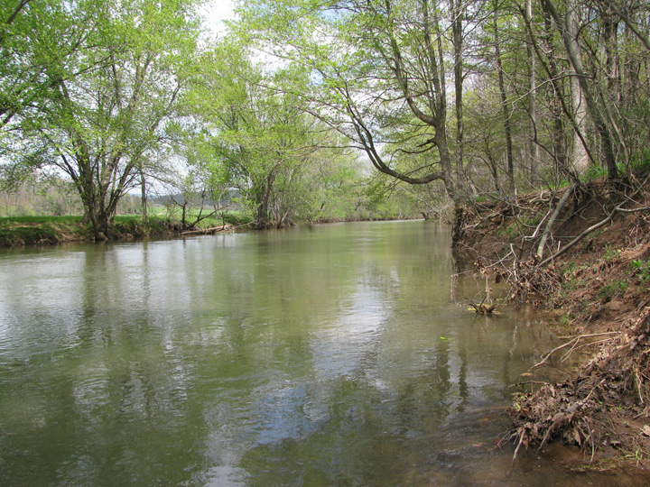 Field photo showing stream conditions at site LIKG-507-H-2011-1