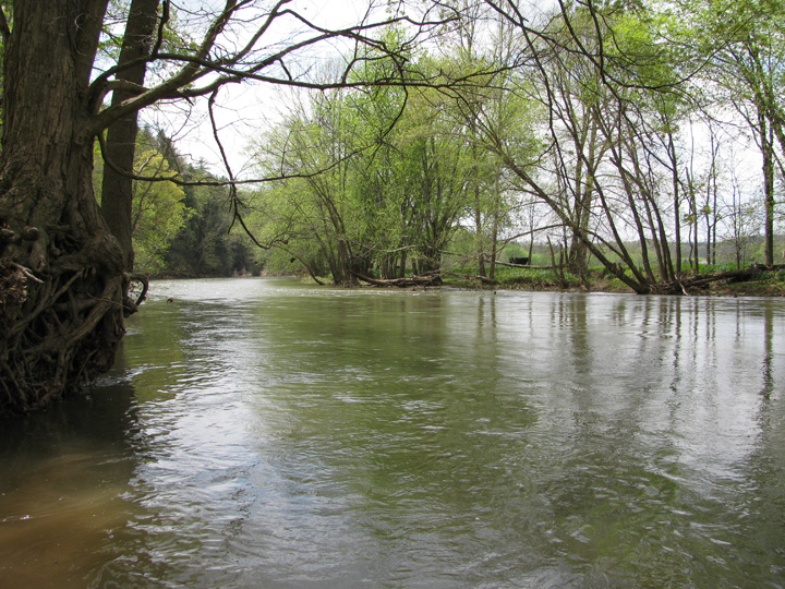 Field photo showing stream conditions at site LIKG-507-H-2011-2
