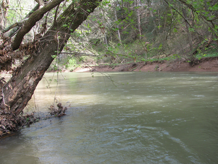 Field photo showing stream conditions at site LIKG-512-H-2011-2