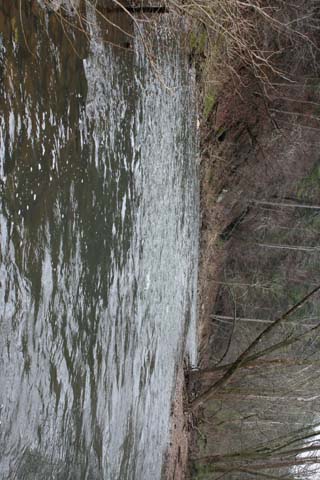 Field photo showing stream conditions at site LIKG-593-A-2012-MidpointDownstream