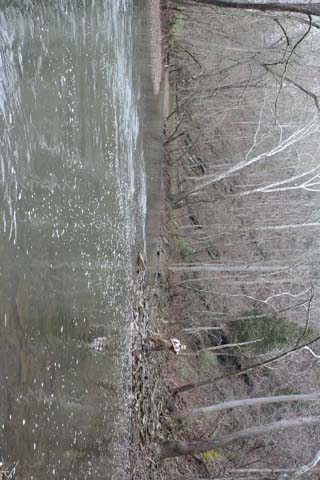 Field photo showing stream conditions at site LIKG-593-A-2012-MidpointUpstream