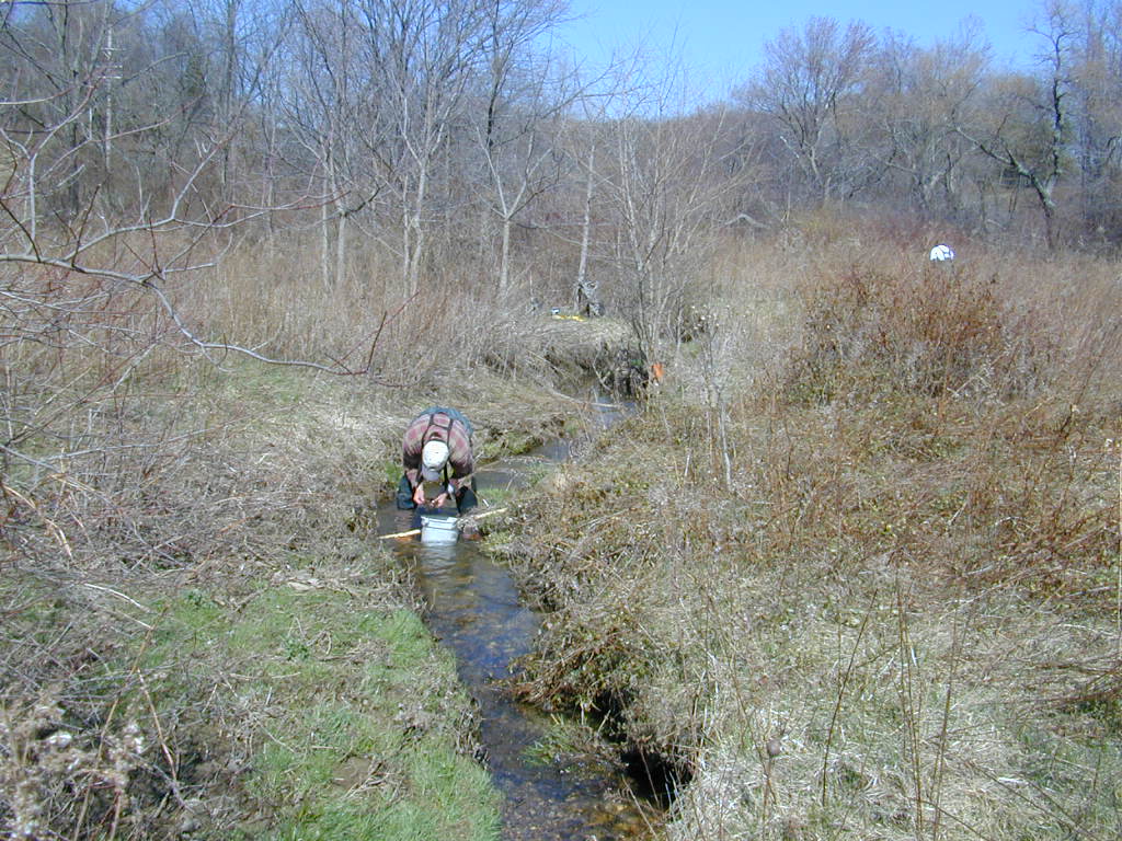 Field photo showing stream conditions at site LMON-104-T-2000-01