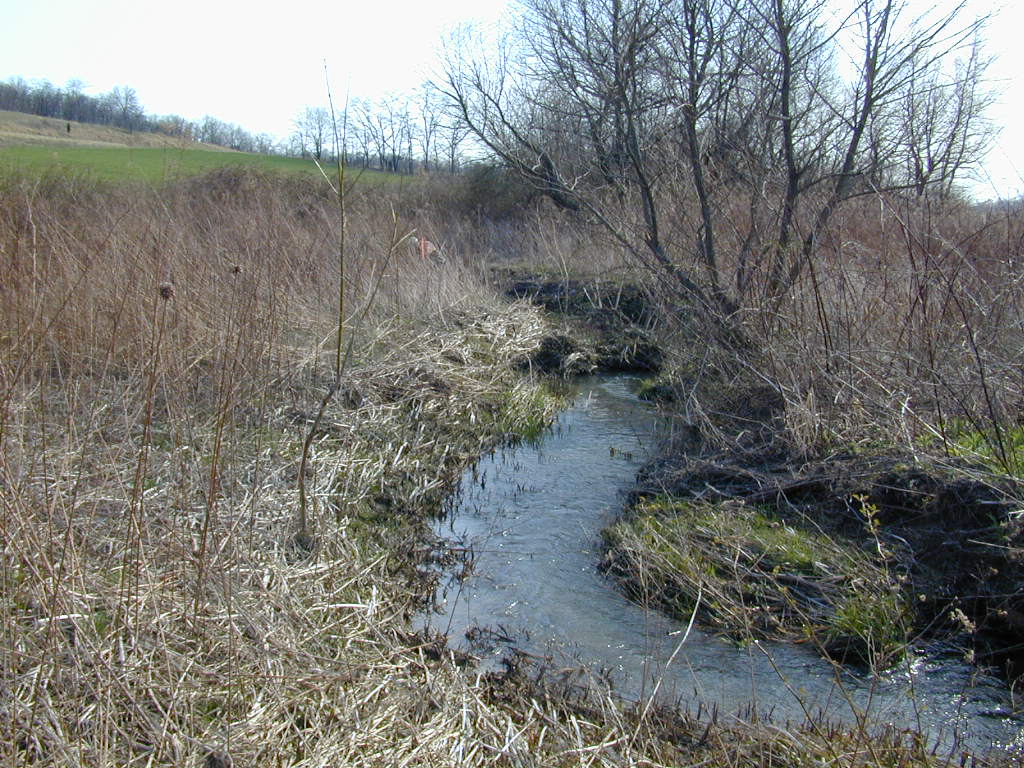Field photo showing stream conditions at site LMON-106-T-2000-01
