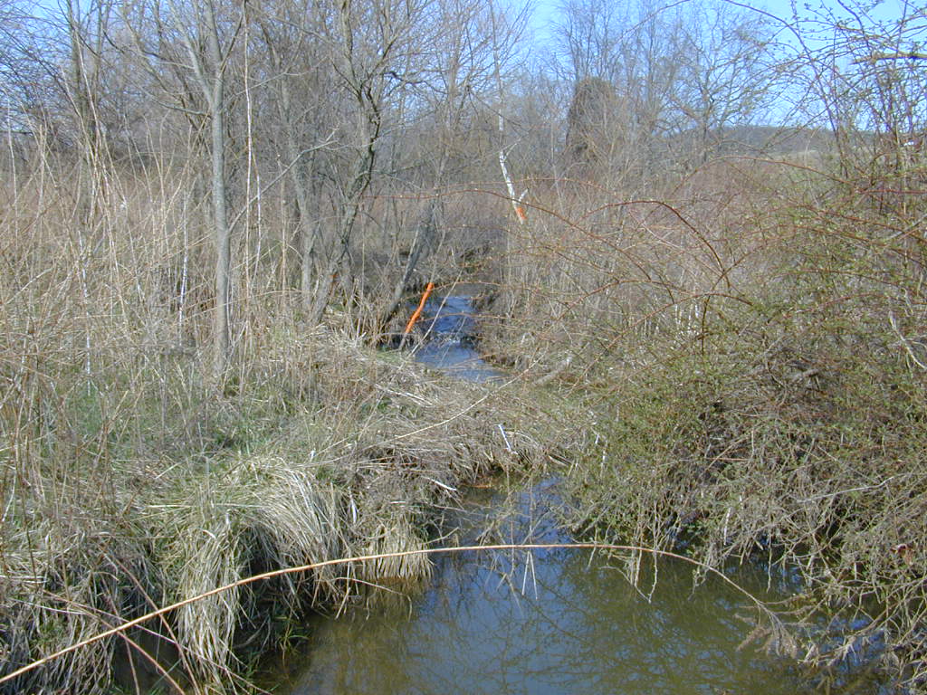 Field photo showing stream conditions at site LMON-106-T-2000-02