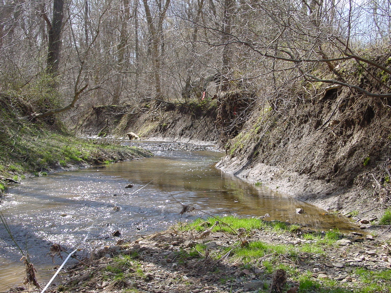 Field photo showing stream conditions at site LMON-107-R-2003-1