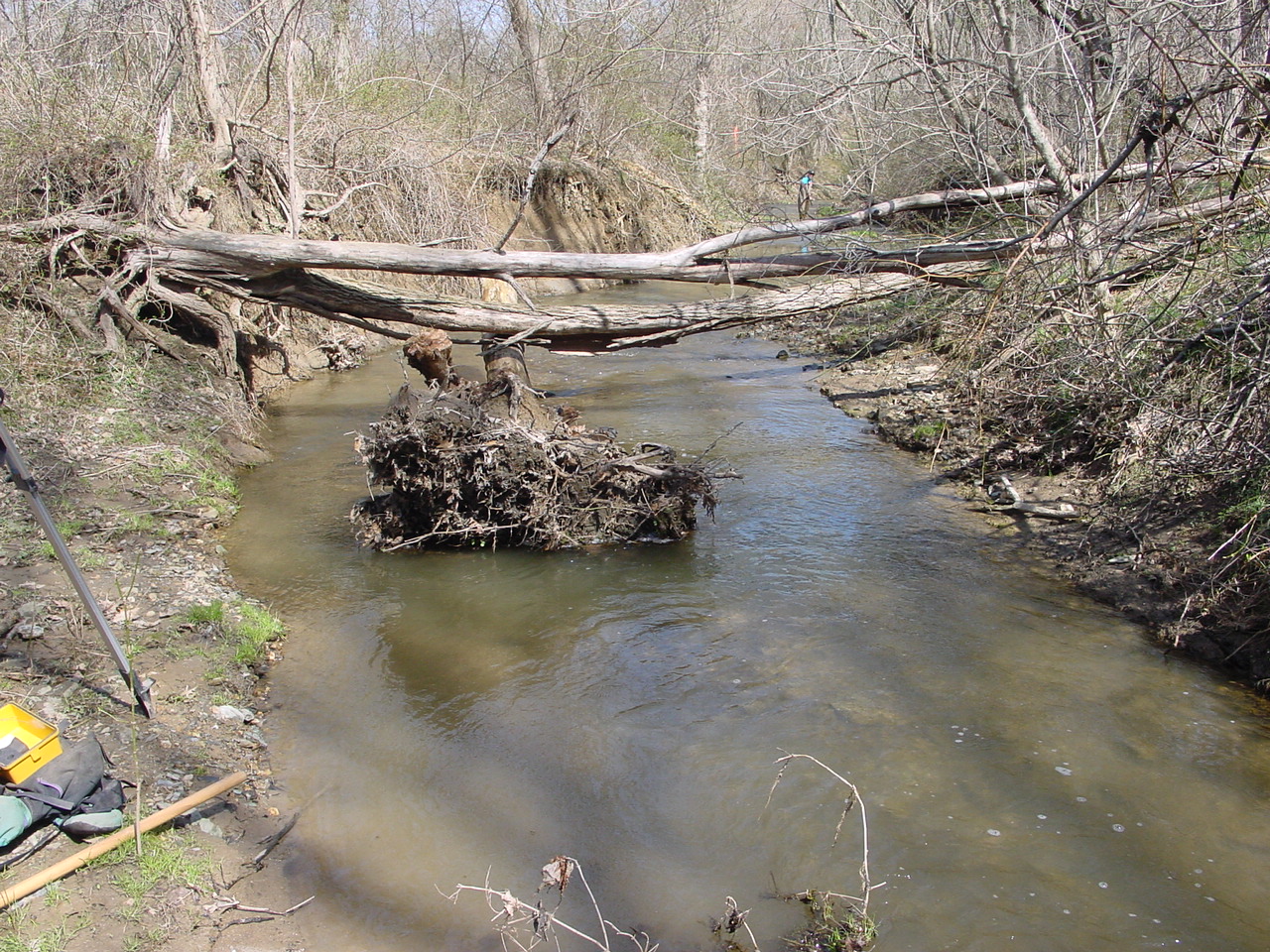 Field photo showing stream conditions at site LMON-107-R-2003-2