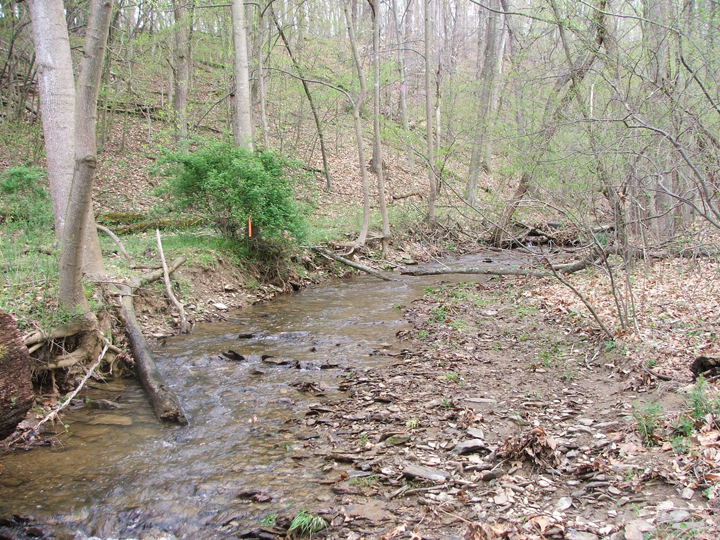Field photo showing stream conditions at site LMON-107-R-2008-1