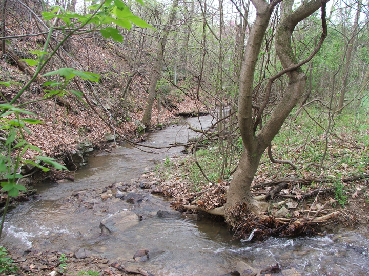 Field photo showing stream conditions at site LMON-107-R-2008-2
