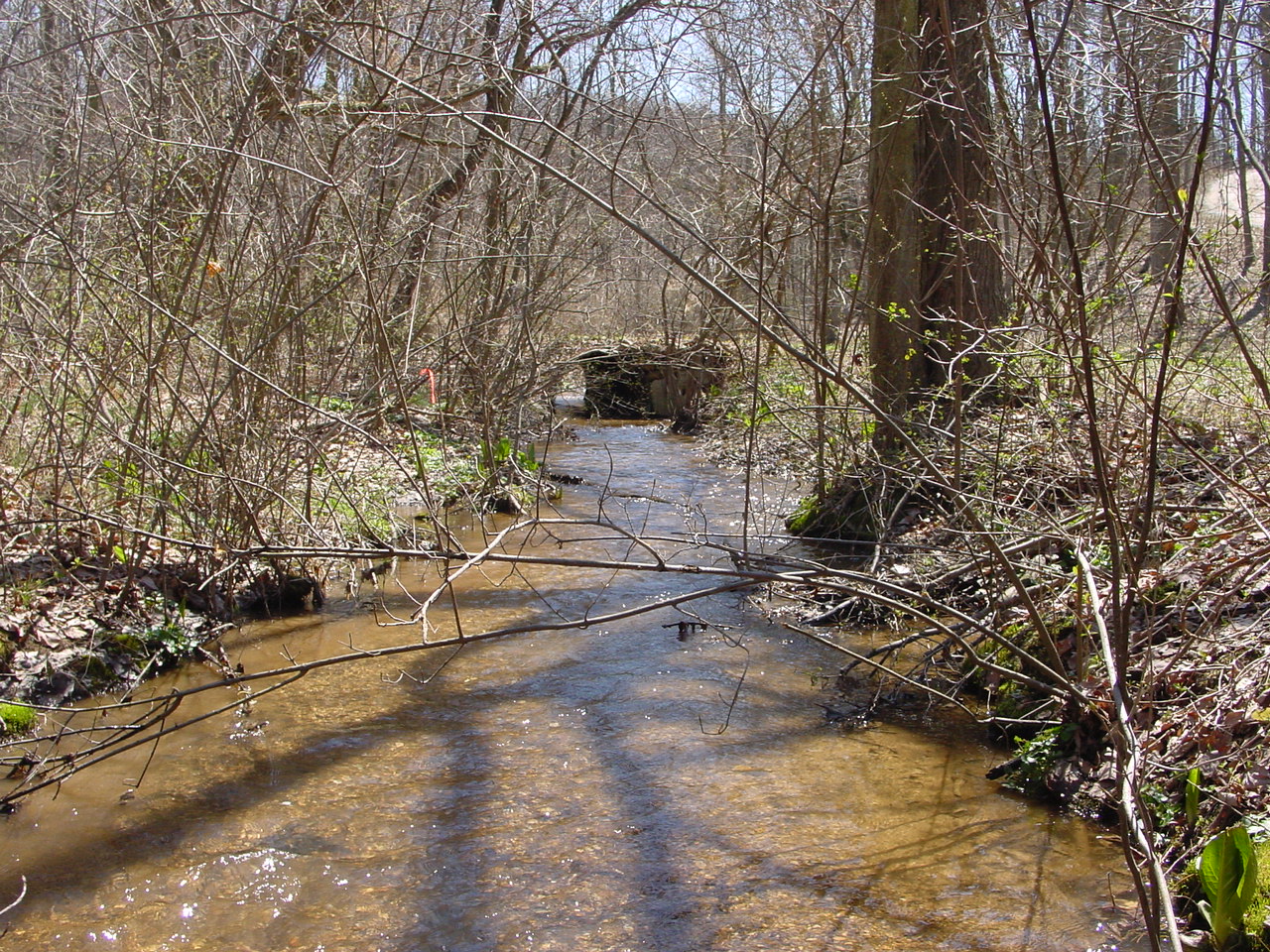 Field photo showing stream conditions at site LMON-108-R-2003-2