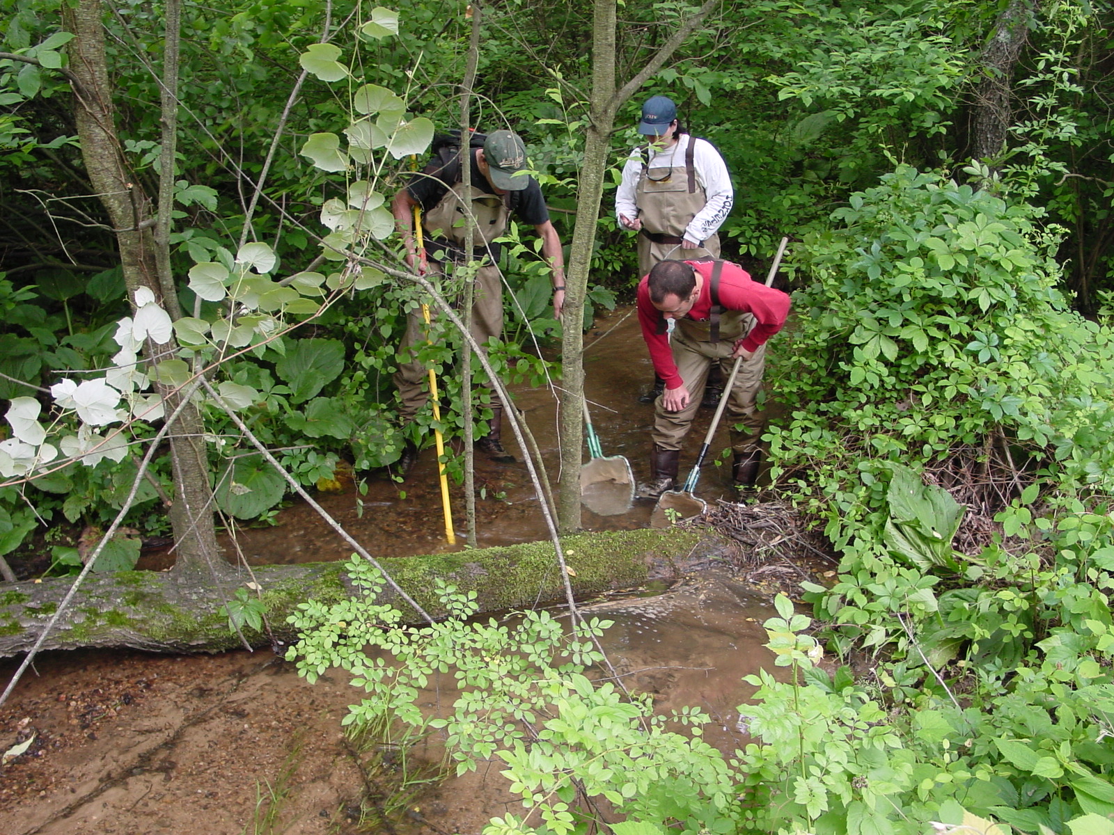 Field photo showing stream conditions at site LMON-108-R-2003-3