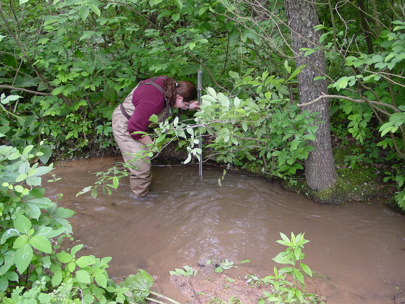 Field photo showing stream conditions at site LMON-108-R-2003-4