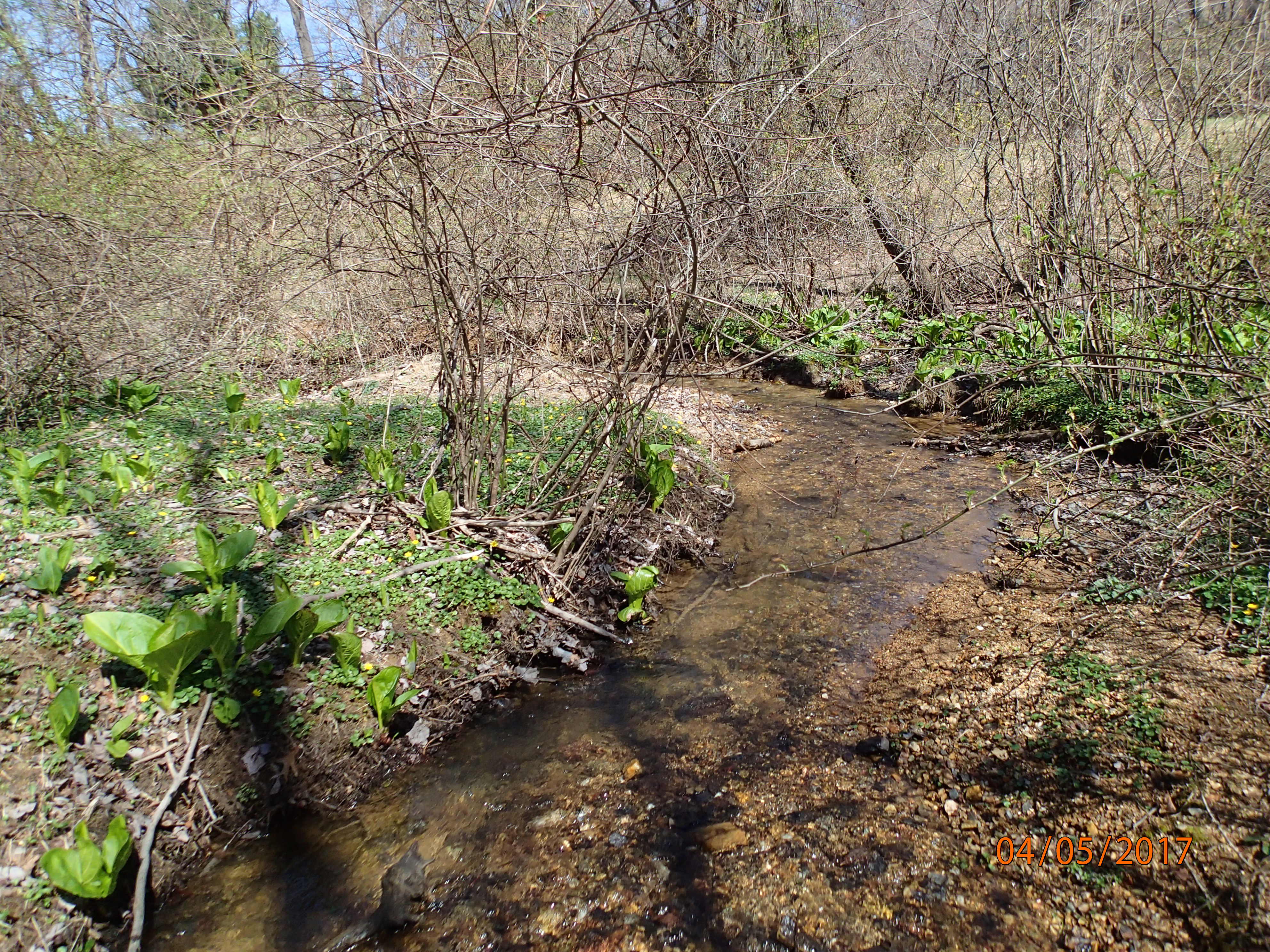 Field photo showing stream conditions at site LMON-108-R-2017-MidpointDownstream