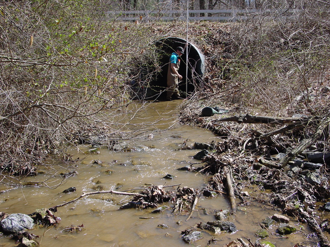 Field photo showing stream conditions at site LMON-109-R-2003-1