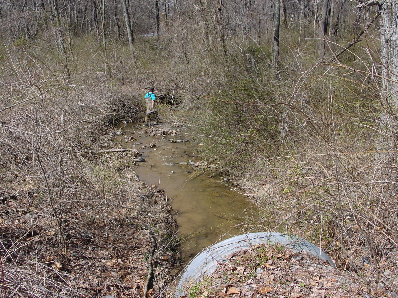 Field photo showing stream conditions at site LMON-109-R-2003-2