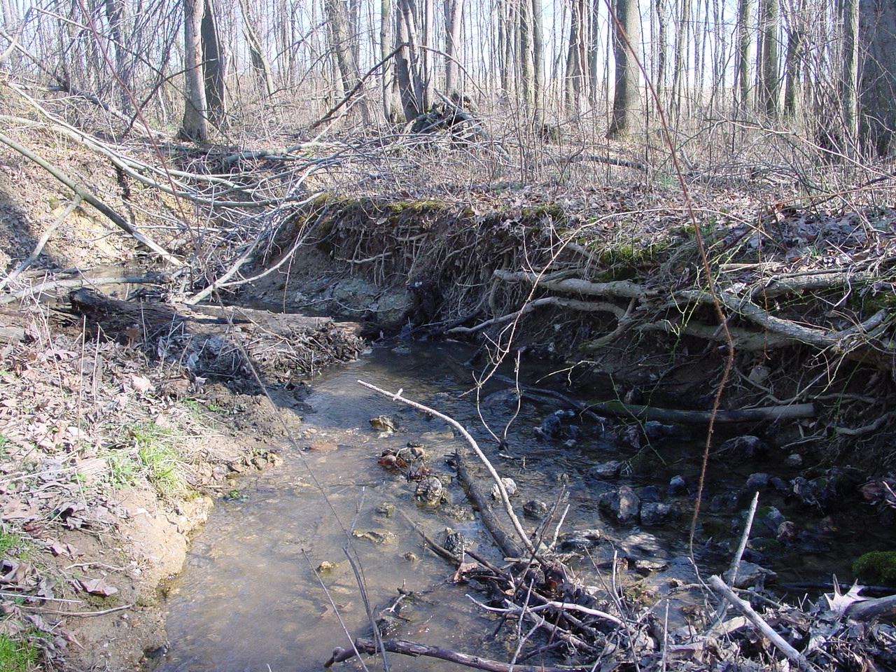 Field photo showing stream conditions at site LMON-112-R-2003-1