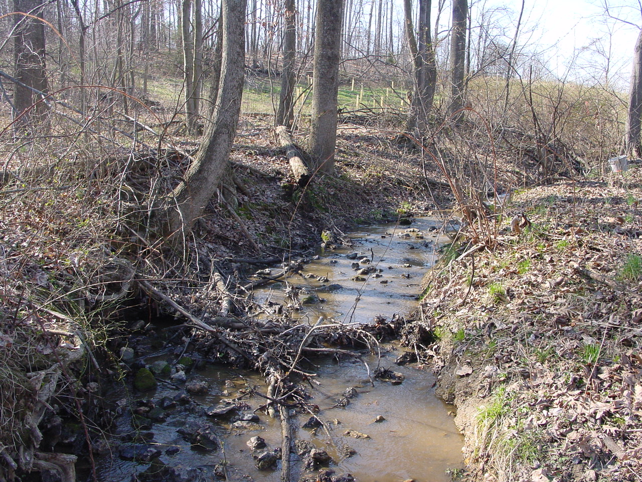Field photo showing stream conditions at site LMON-112-R-2003-2