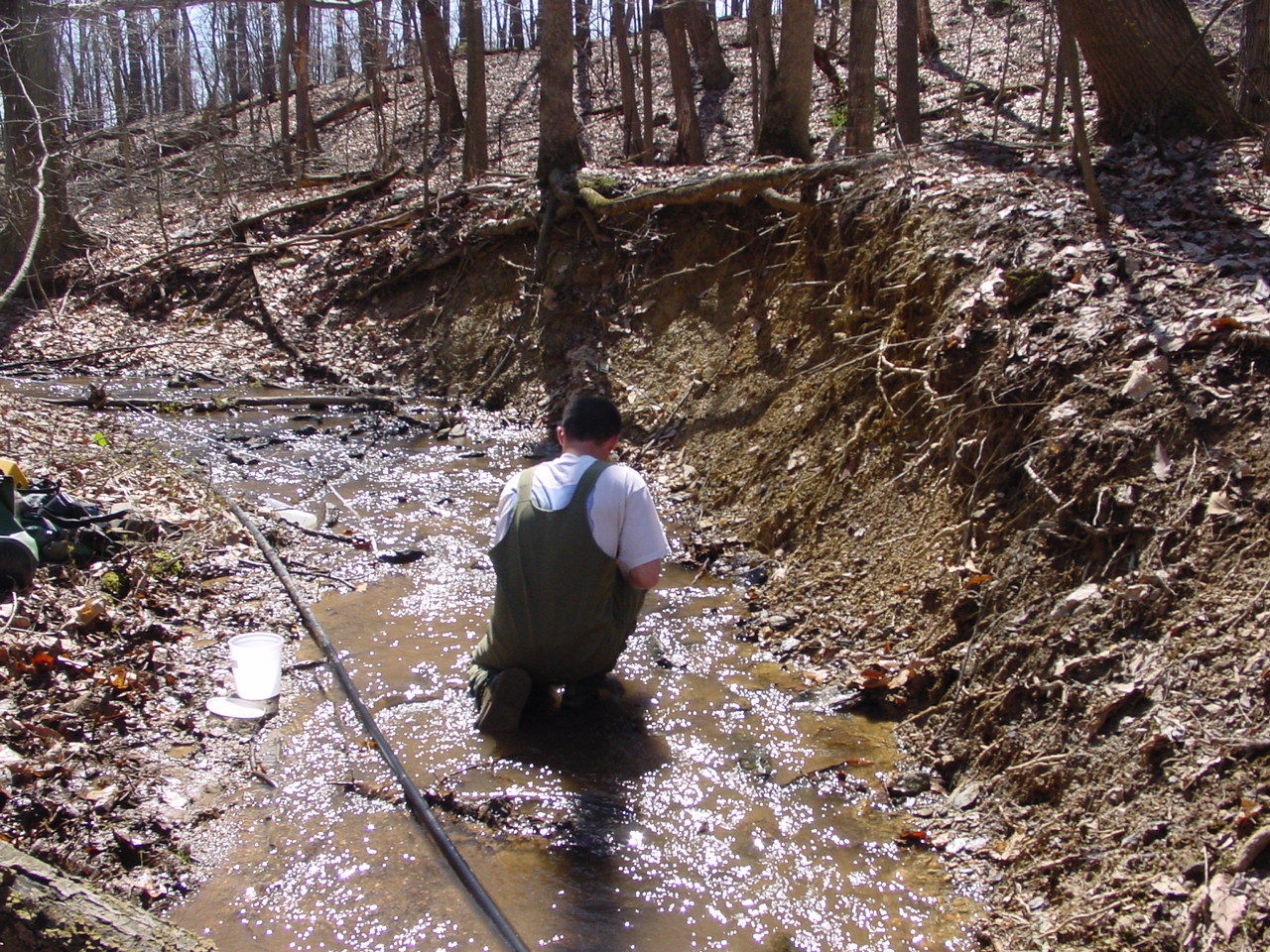 Field photo showing stream conditions at site LMON-113-R-2003-1