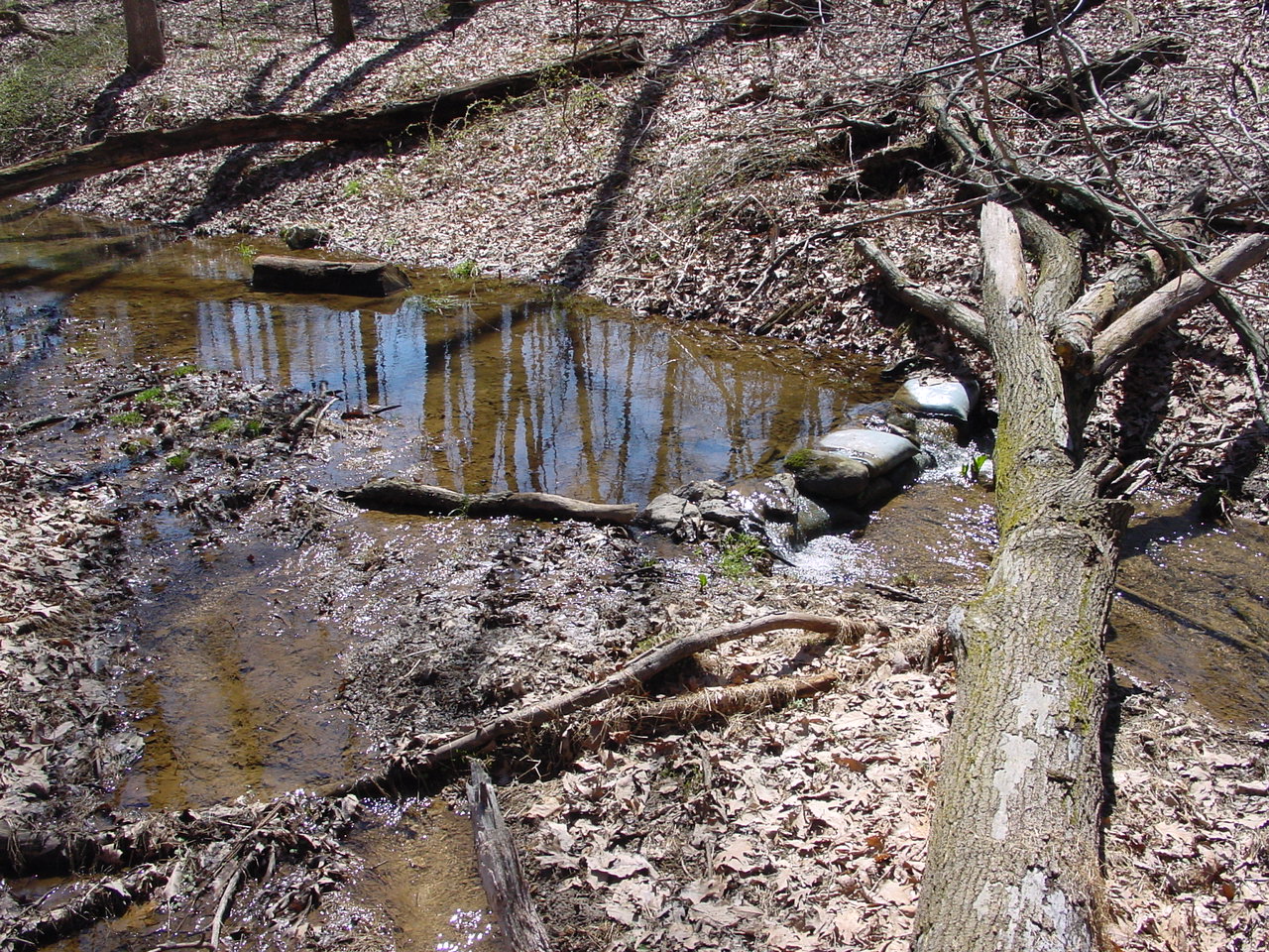 Field photo showing stream conditions at site LMON-113-R-2003-2