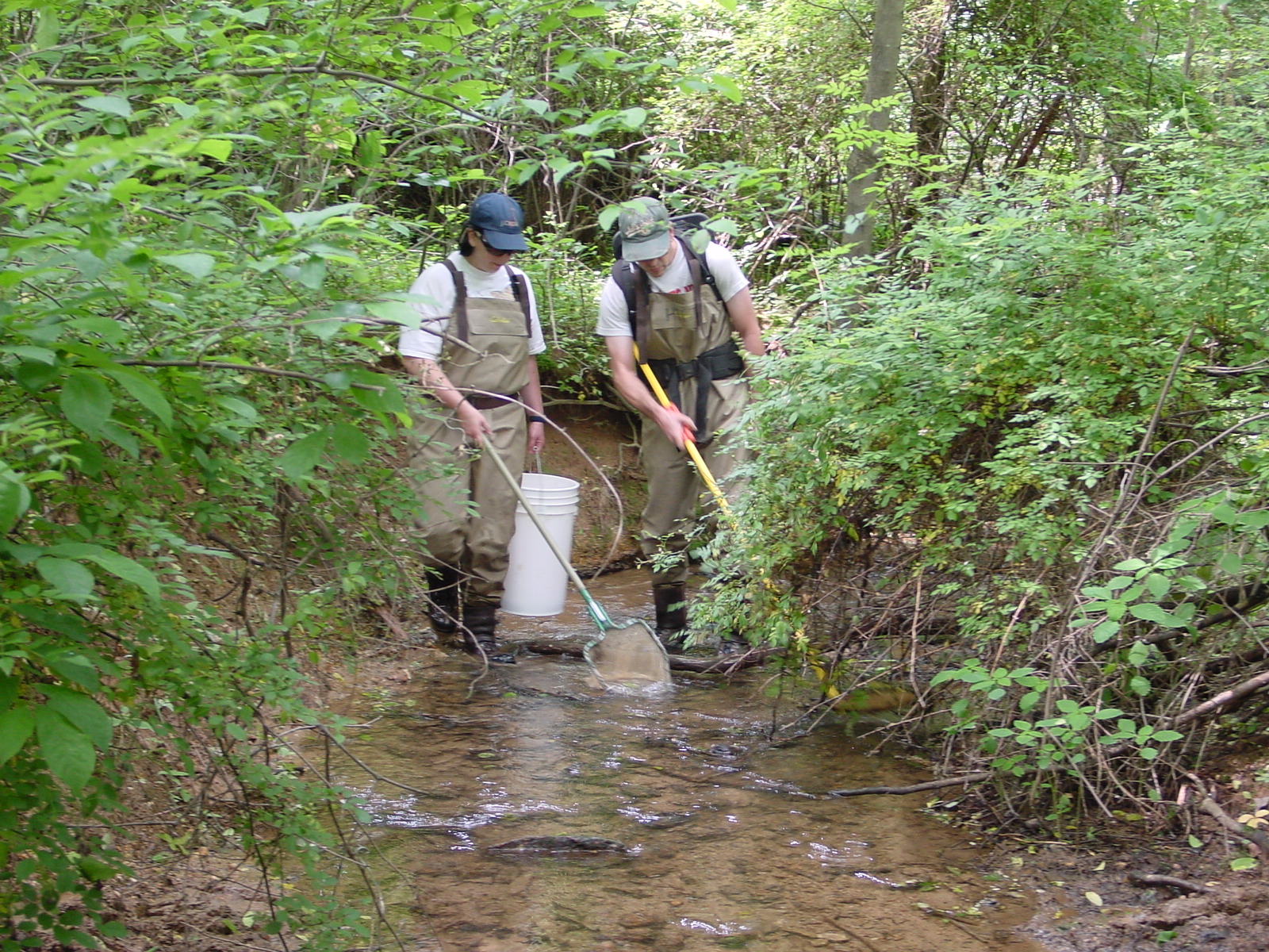 Field photo showing stream conditions at site LMON-113-R-2003-4