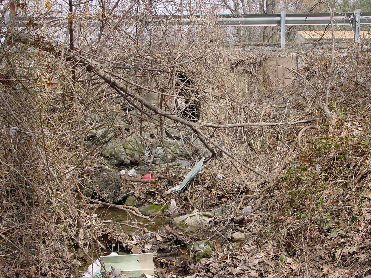 Field photo showing stream conditions at site LMON-114-R-2003-1