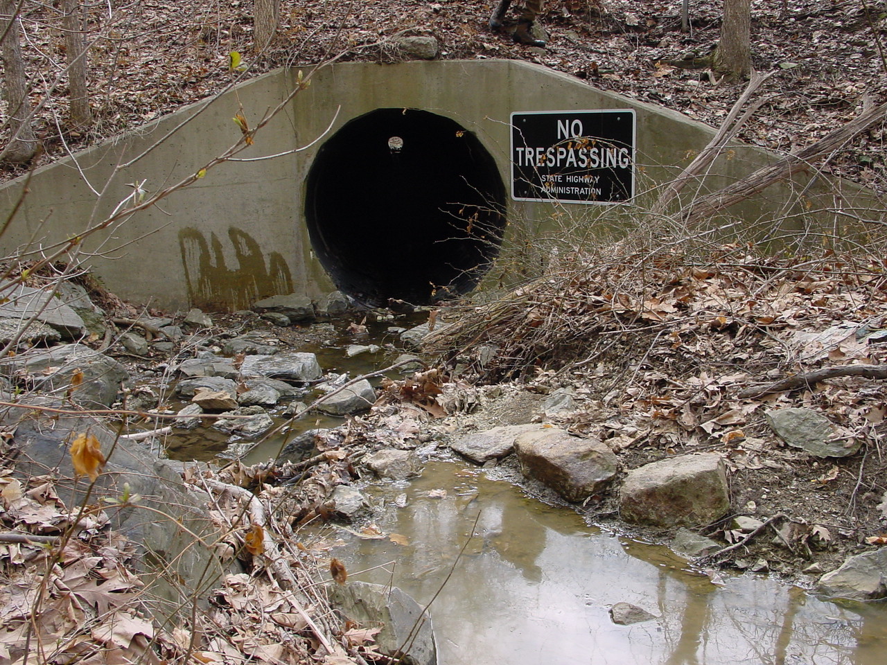 Field photo showing stream conditions at site LMON-114-R-2003-2