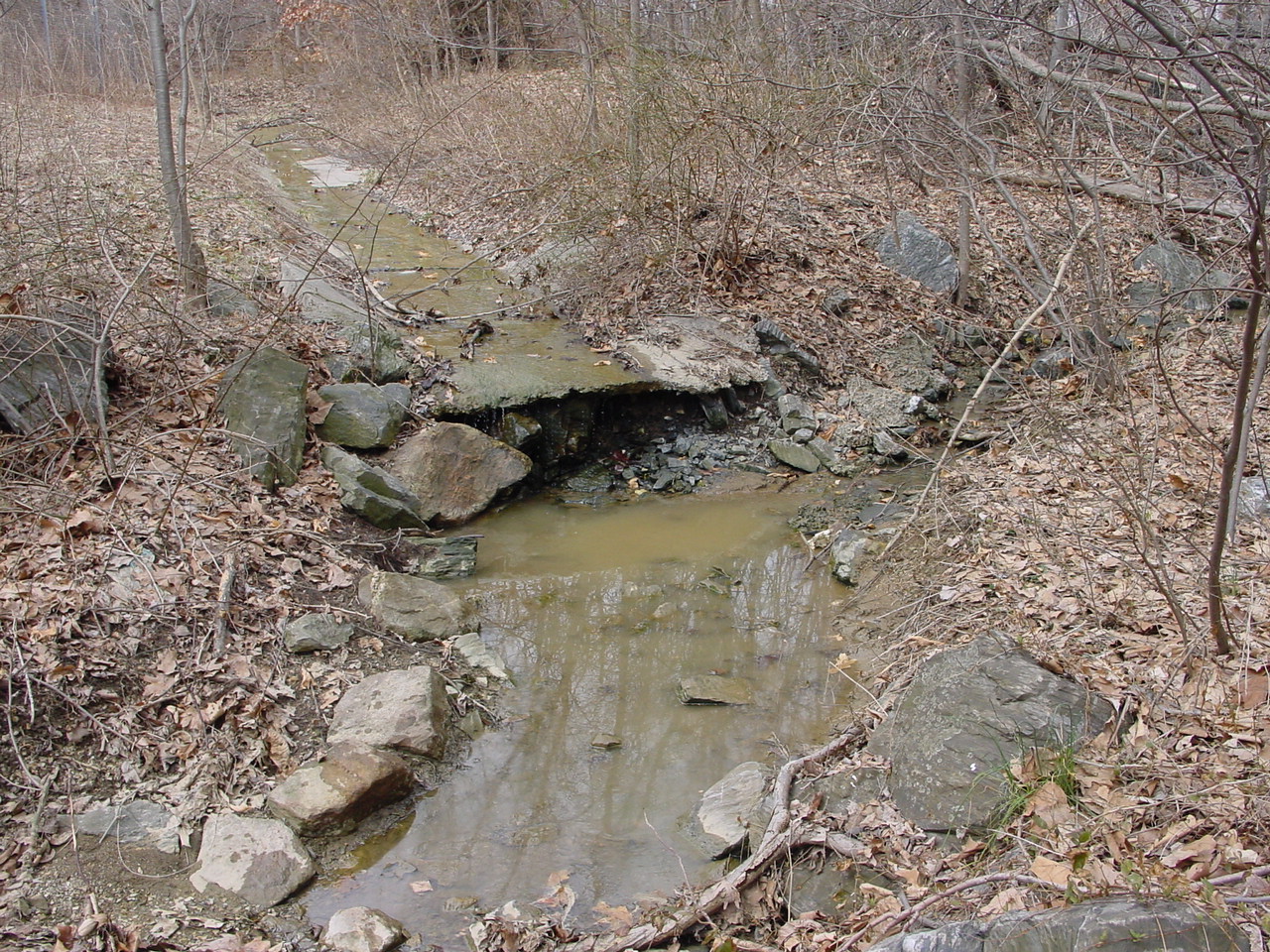 Field photo showing stream conditions at site LMON-114-R-2003-3