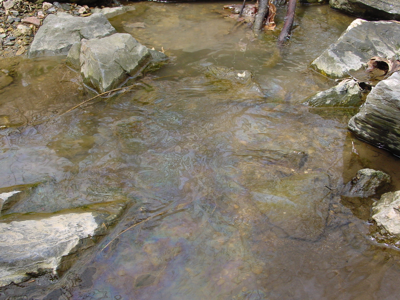 Field photo showing stream conditions at site LMON-114-R-2003-4