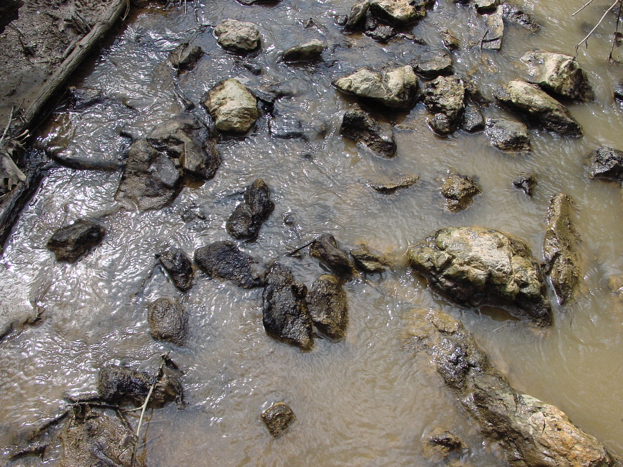 Field photo showing stream conditions at site LMON-118-R-2003-1