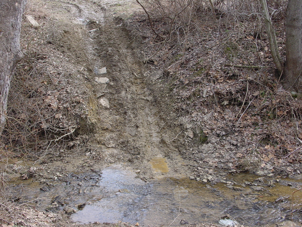 Field photo showing stream conditions at site LMON-118-R-2003-3