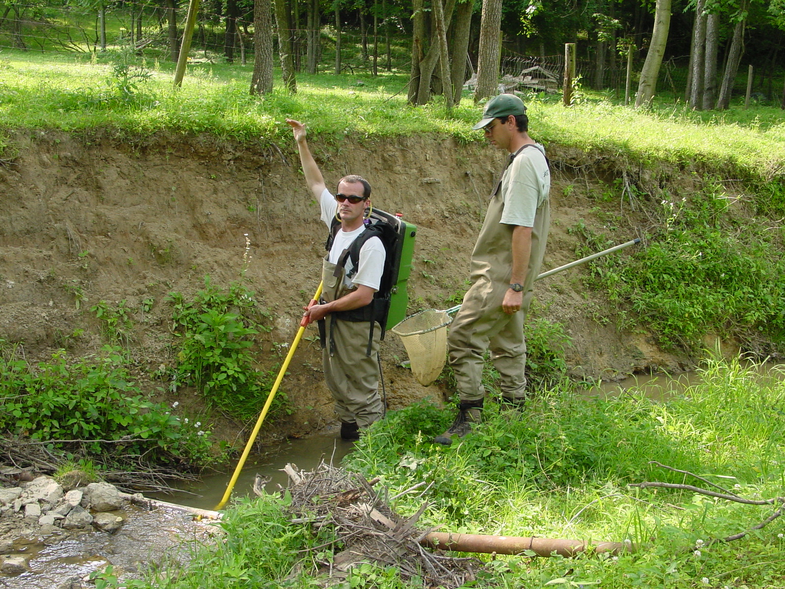 Field photo showing stream conditions at site LMON-118-R-2003-4
