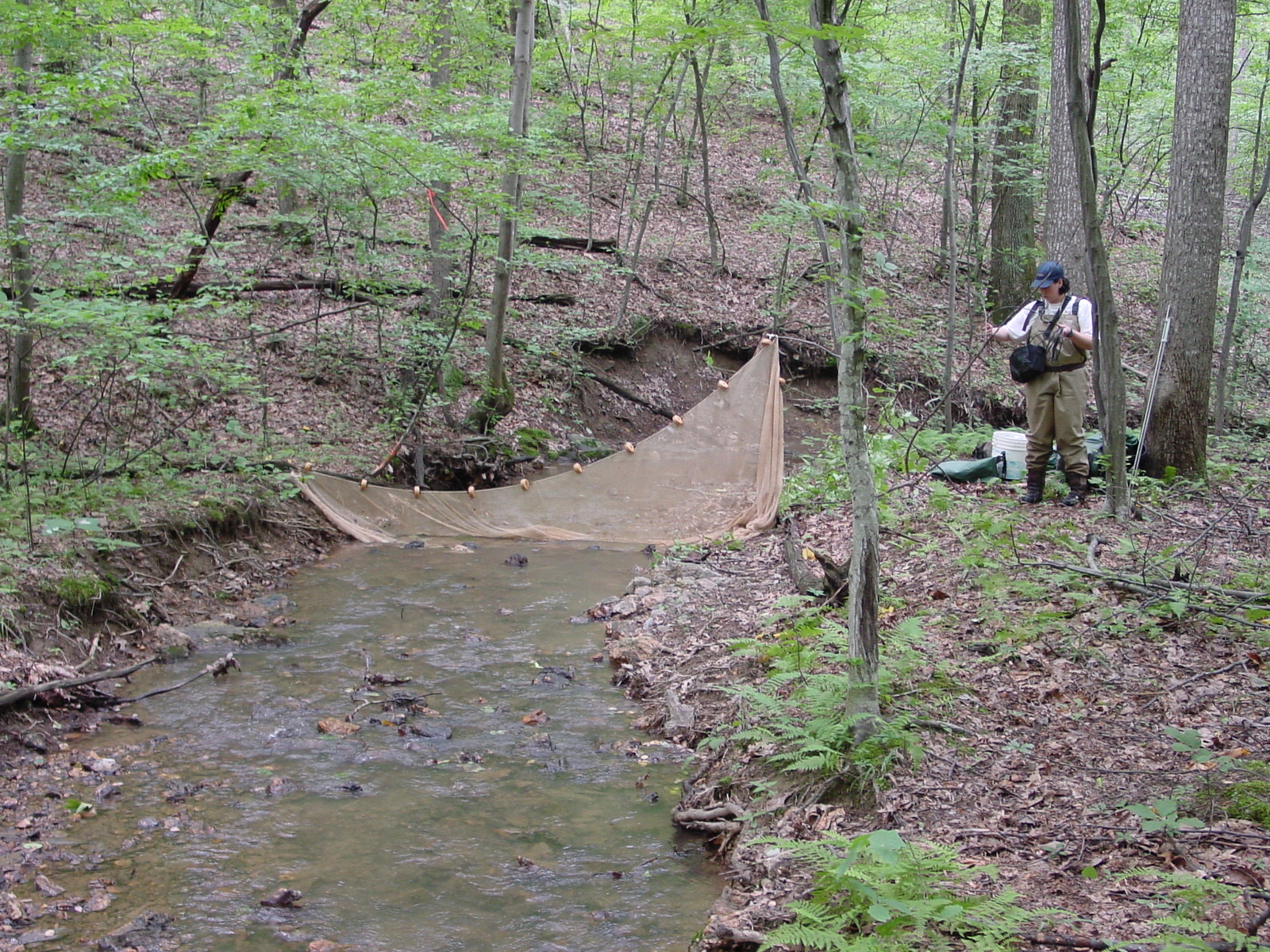 Field photo showing stream conditions at site LMON-119-R-2003-4