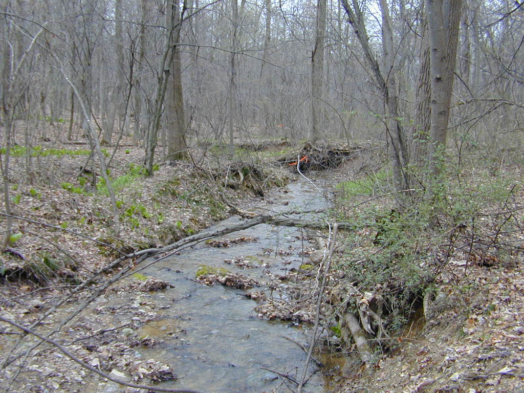 Field photo showing stream conditions at site LMON-119-T-2000-01