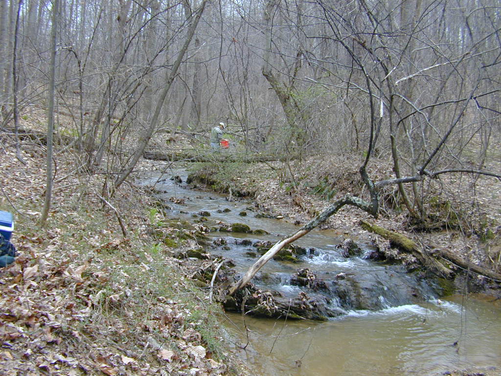 Field photo showing stream conditions at site LMON-119-T-2000-02