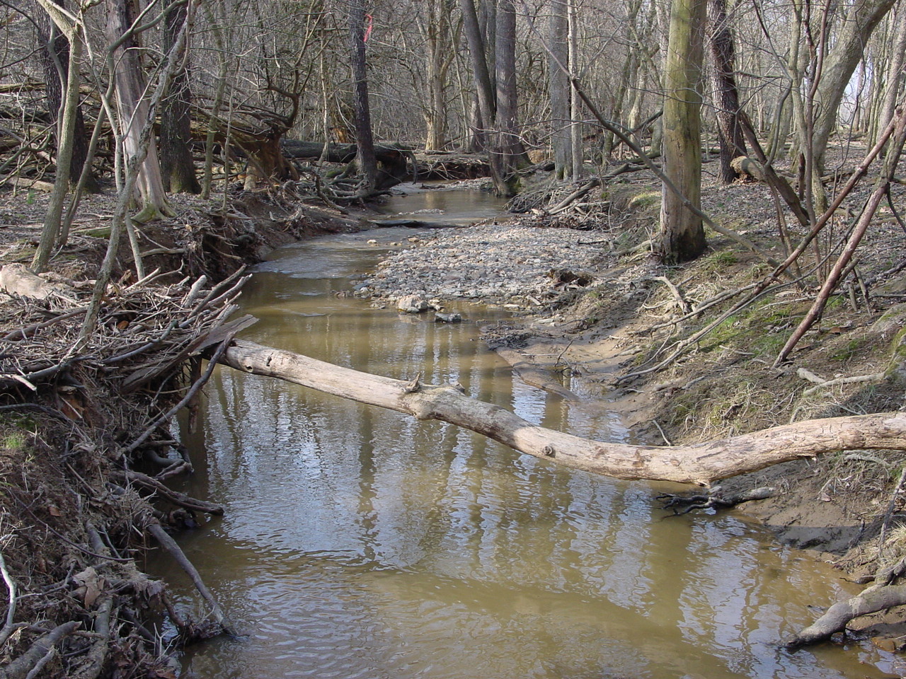 Field photo showing stream conditions at site LMON-121-R-2003-1