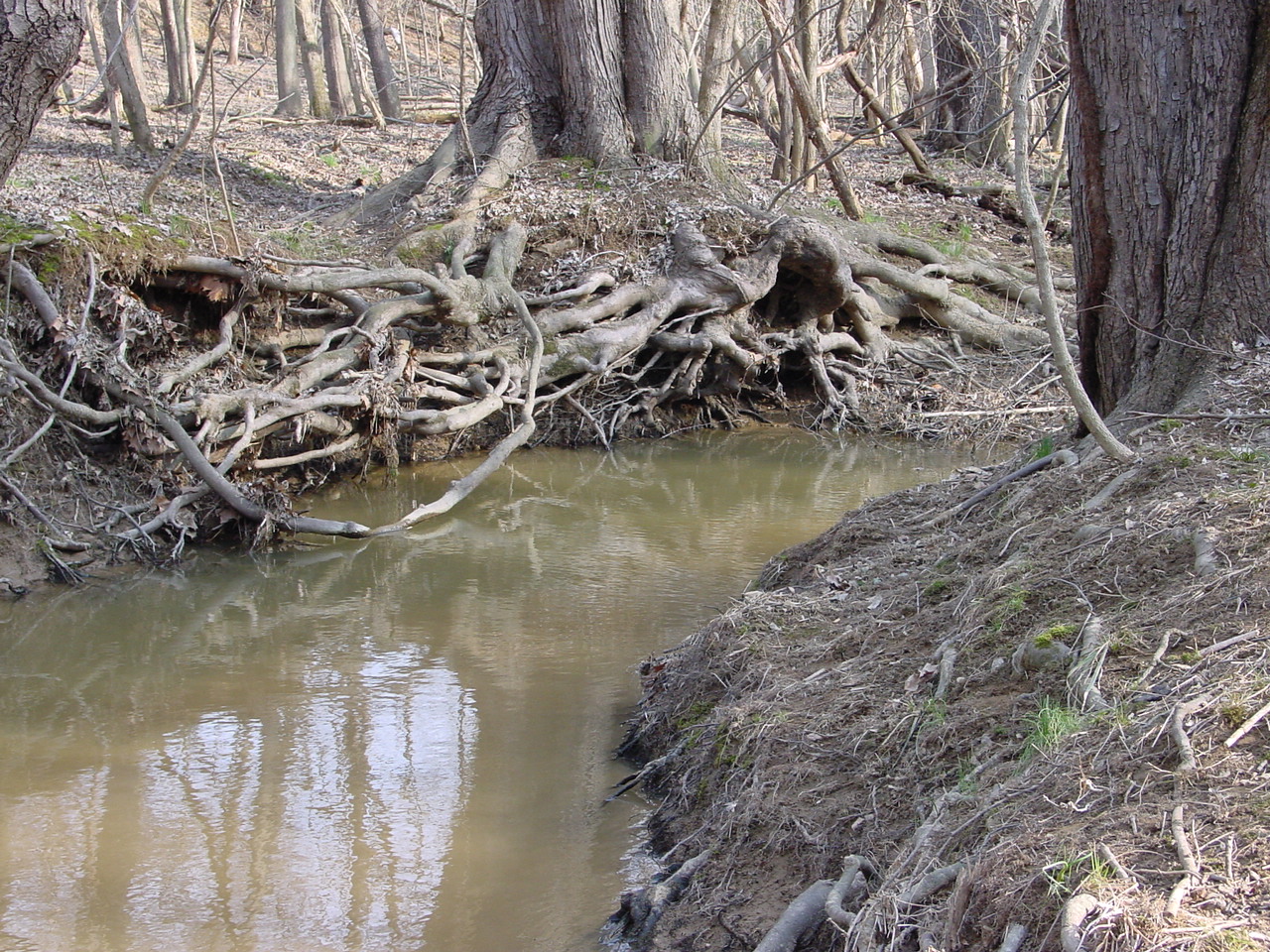 Field photo showing stream conditions at site LMON-121-R-2003-2