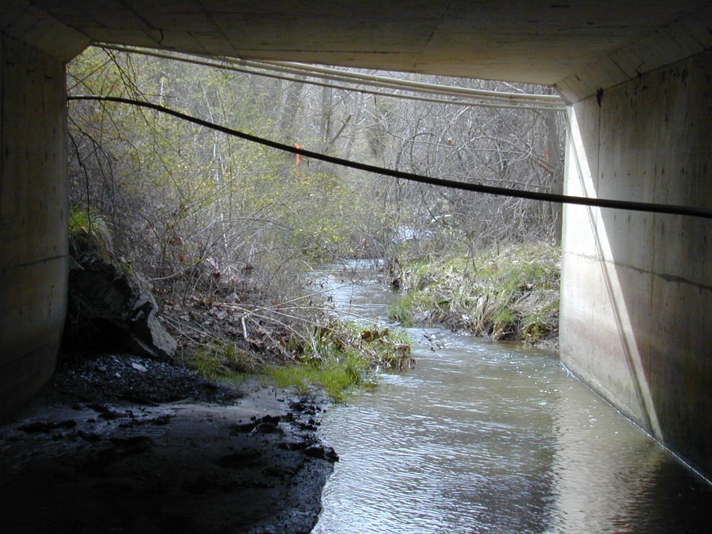 Field photo showing stream conditions at site LMON-122-T-2000-02