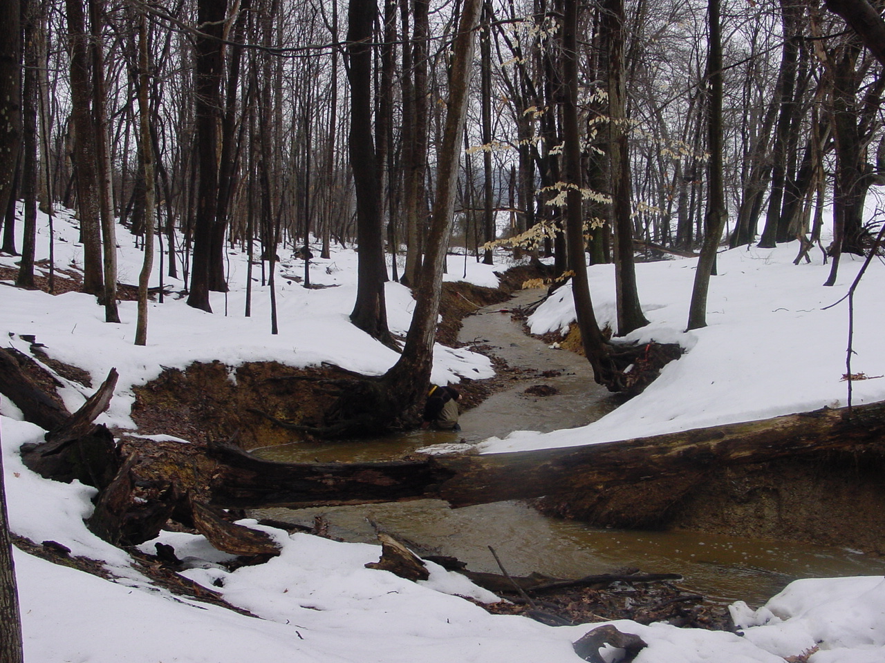 Field photo showing stream conditions at site LMON-123-R-2003-1
